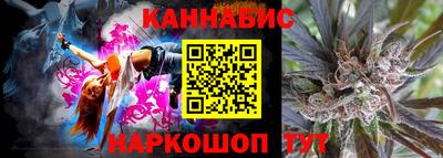 прущие крисы Кингисепп