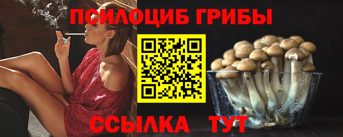 Псилоцибиновые грибы Psilocybe Кыштым