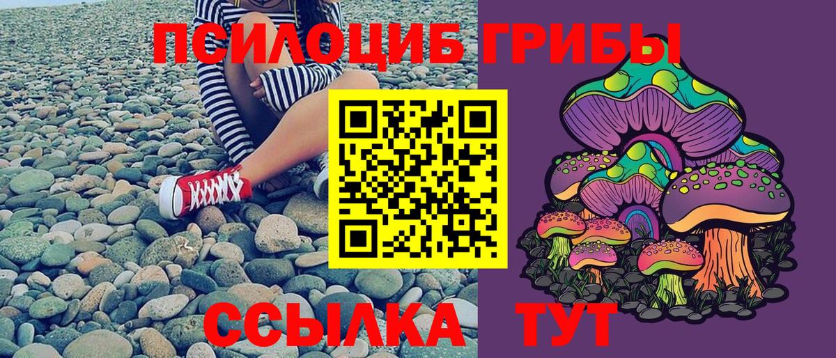 Кыштым  Псилоцибиновые грибы GOLDEN TEACHER  Галлюциногенные грибы мицелий  Вход с VPN 